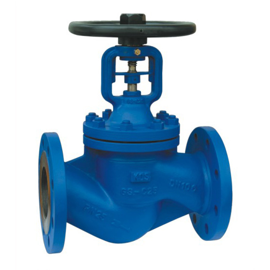 Globe Valve
