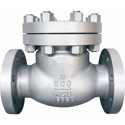 Check Valve