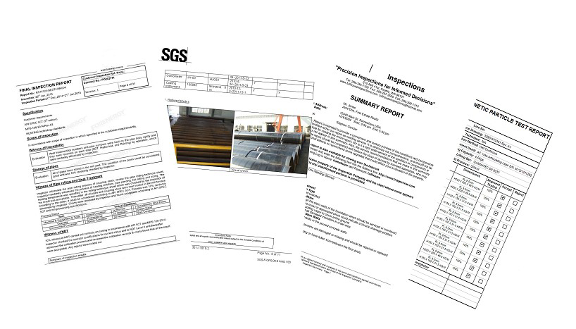 Inspection Report